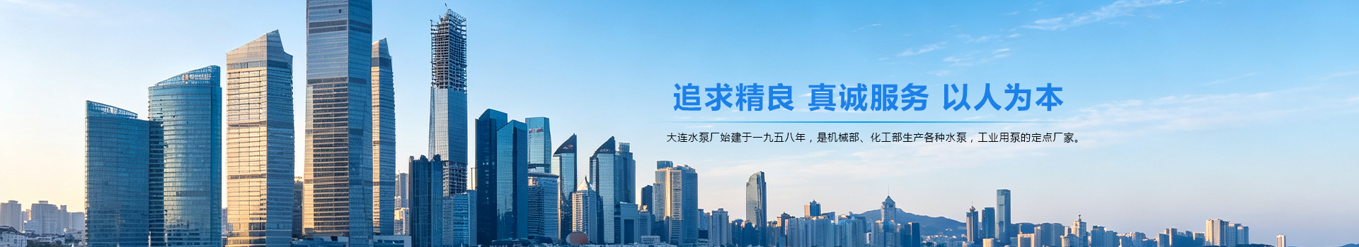 大连酸碱泵